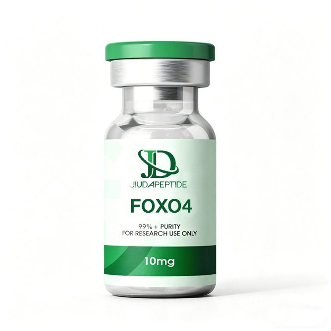 FOXO4